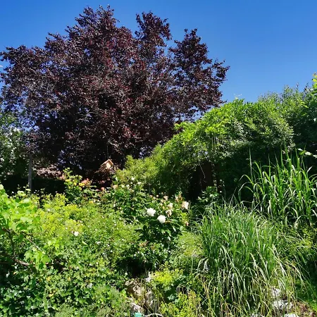 Apartmán Naehe Spieleland Vogt