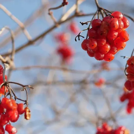 Naehe Spieleland Apartmán